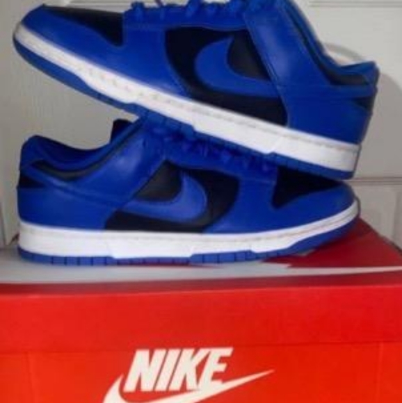 Nike Other - Nike Dunk Low Retro
